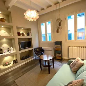 Dandelion Flat Florencia